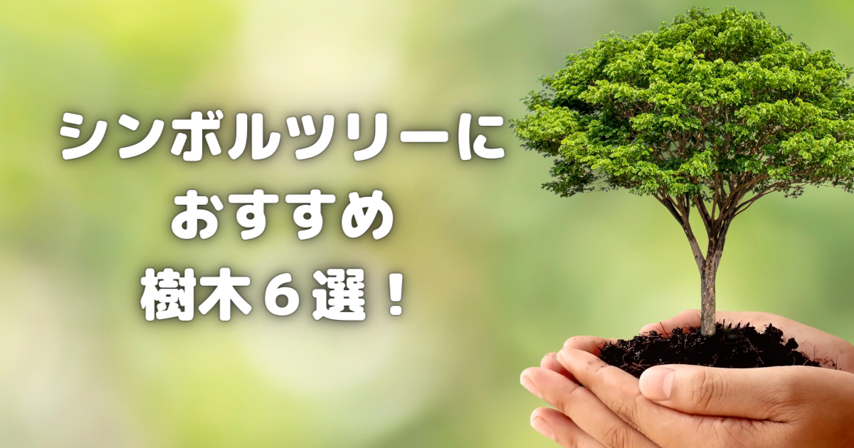 シンボルツリーおすすめ6選！失敗しない選び方・植え方・手入れのコツ 