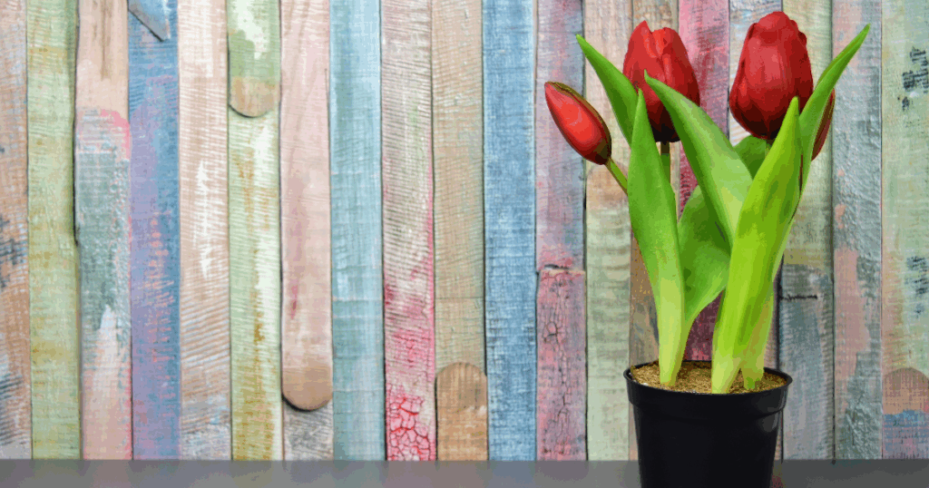 省スペースのリレー咲き