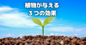 植物がもたらす3つの効果