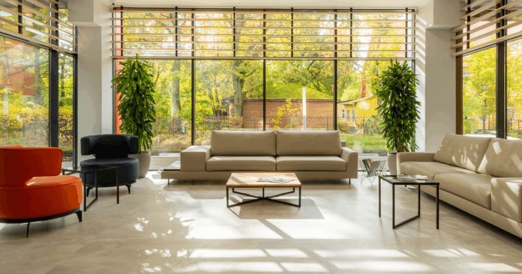 観葉植物の最適な置き場所