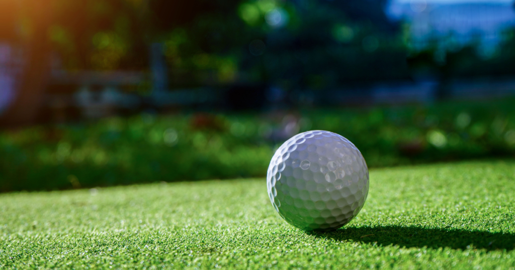 西洋芝の代表的な種類と特徴