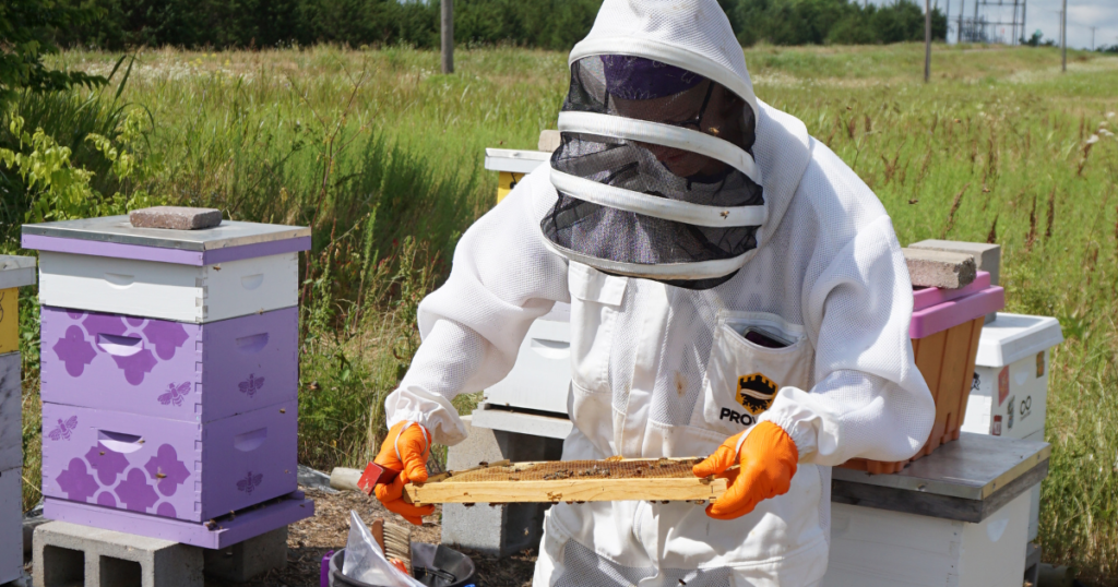 安全装備と理由