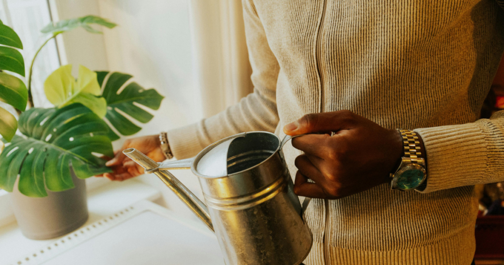 DIYでできる風水インテリア術