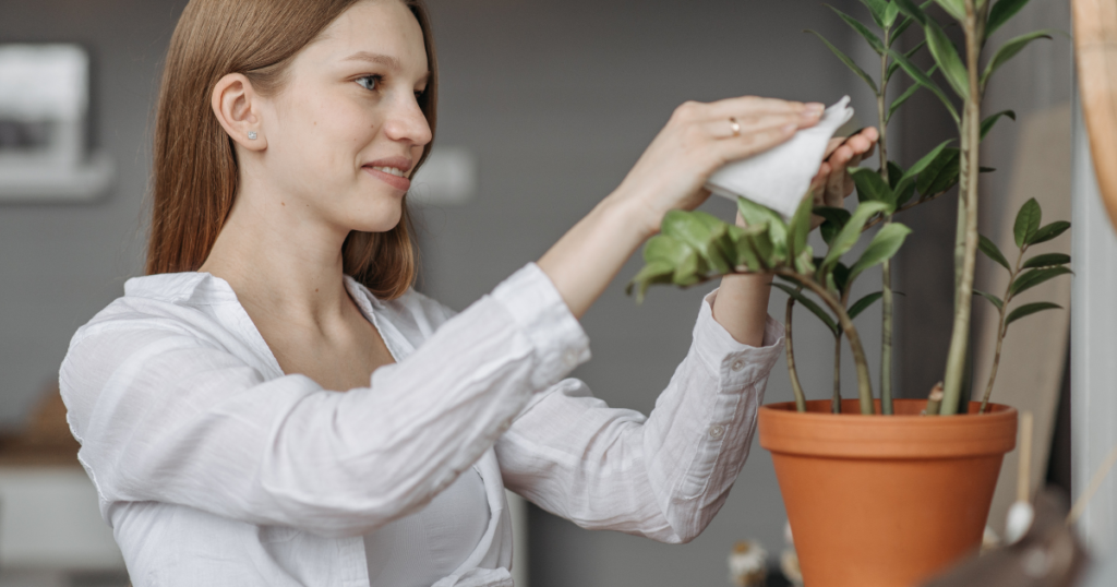 フェイクグリーンの正しい手入れ方法