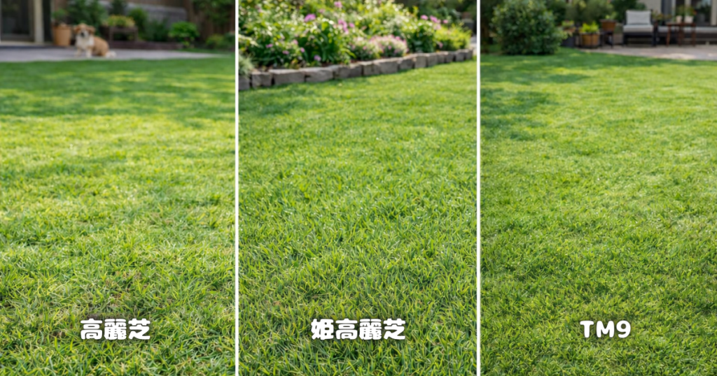 外構におすすめの芝生3種類