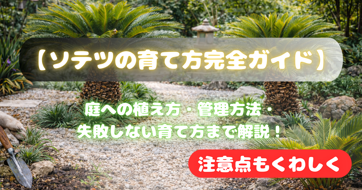 ソテツの育て方完全ガイド】庭への植え方・管理方法・失敗しない育て方 