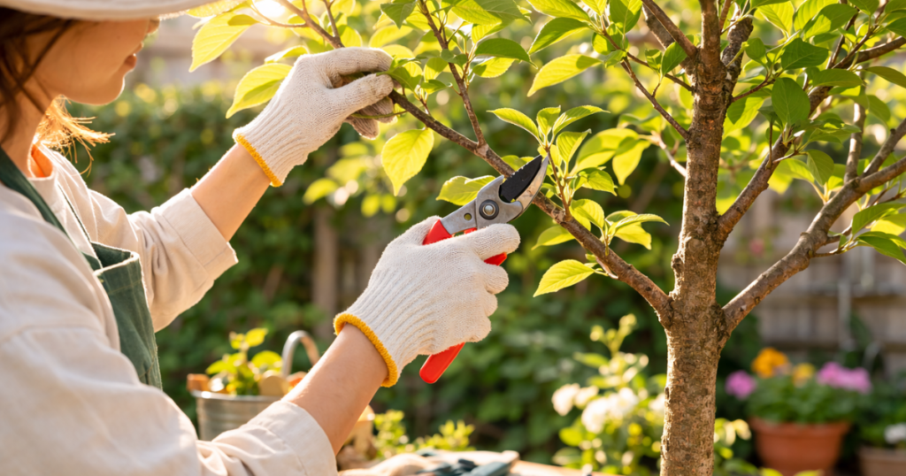 初心者でもできる庭木剪定の基本手順