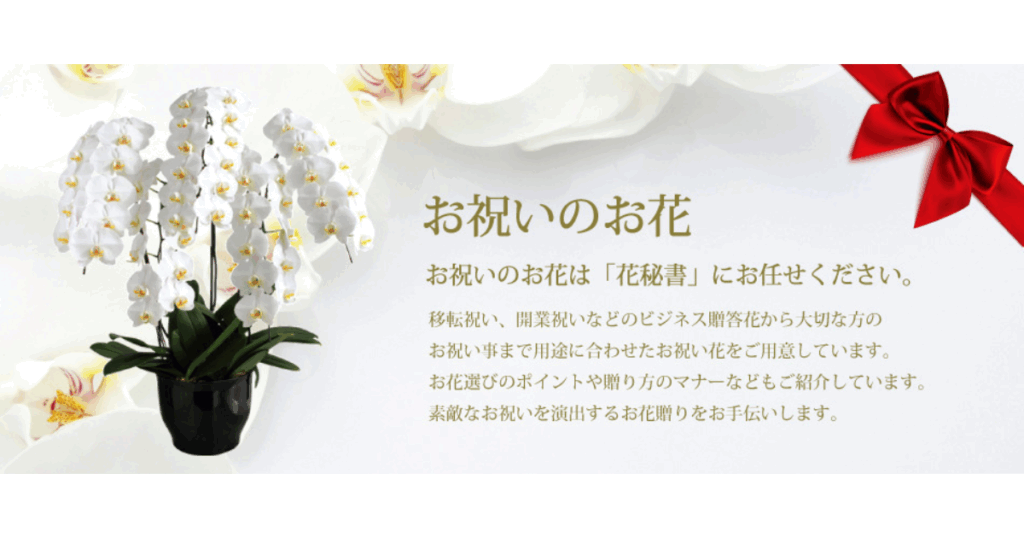 胡蝶蘭がお祝いの贈り物に選ばれる理由
