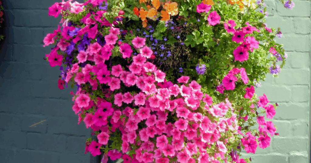 春に育てやすい植物