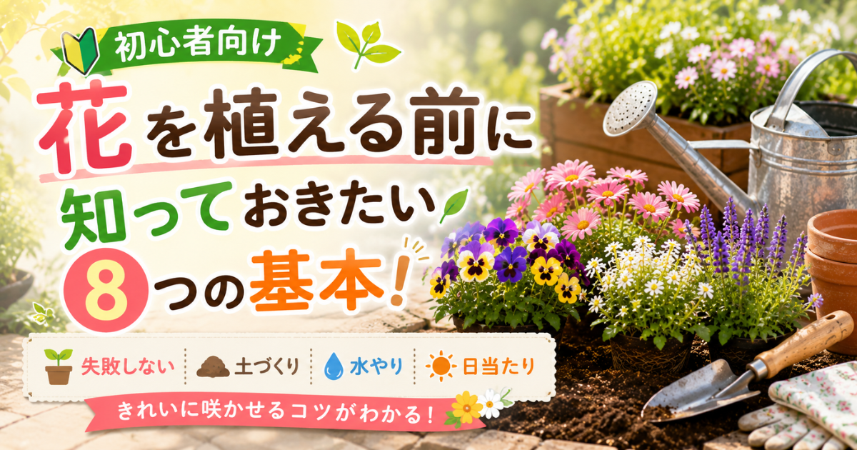 【初心者向け】花を植える前に知っておきたい8つの基本！失敗しない土・水やり・日当たりを解説