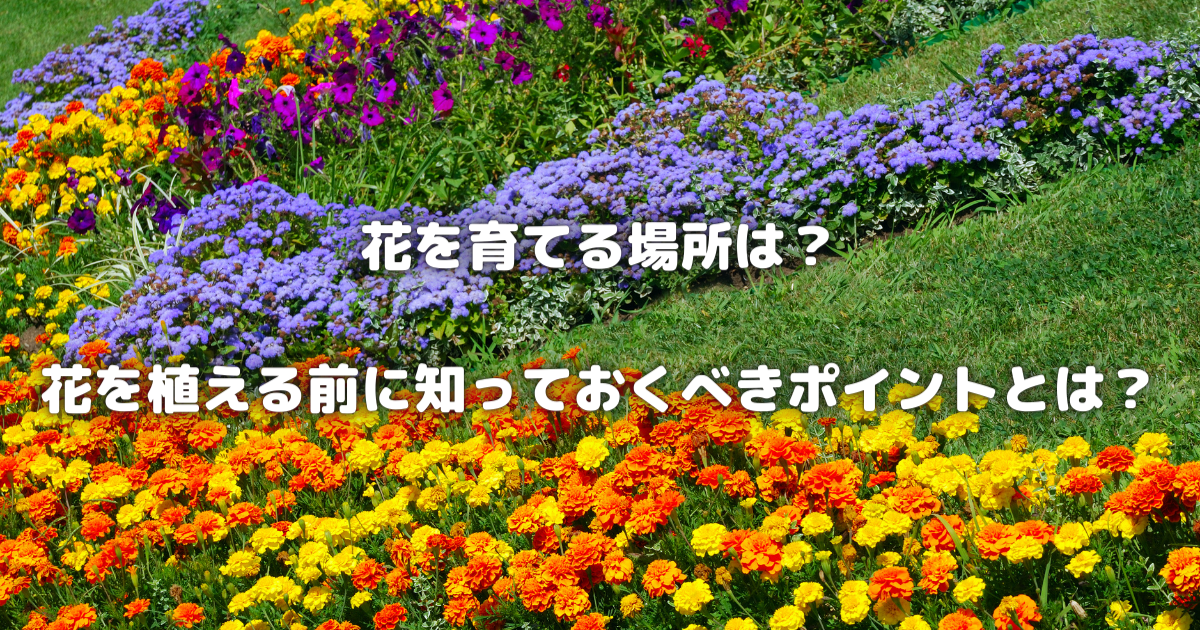 【ガーデニング初心者向け】花を植える前に知っておくべきポイント！