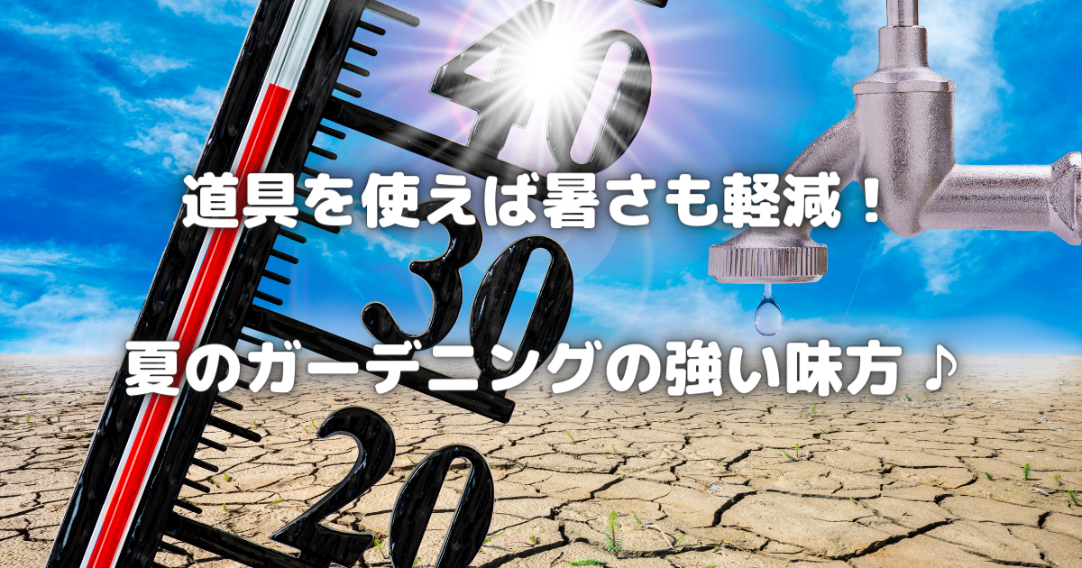 【暑さを軽減するアイテム】夏のガーデニングの強い味方！