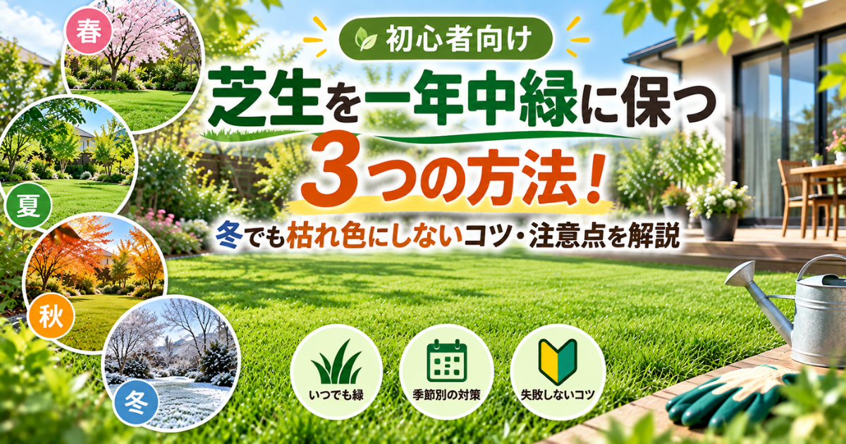 【初心者向け】芝生を一年中緑に保つ3つの方法！冬でも枯れ色にしないコツ・注意点を解説