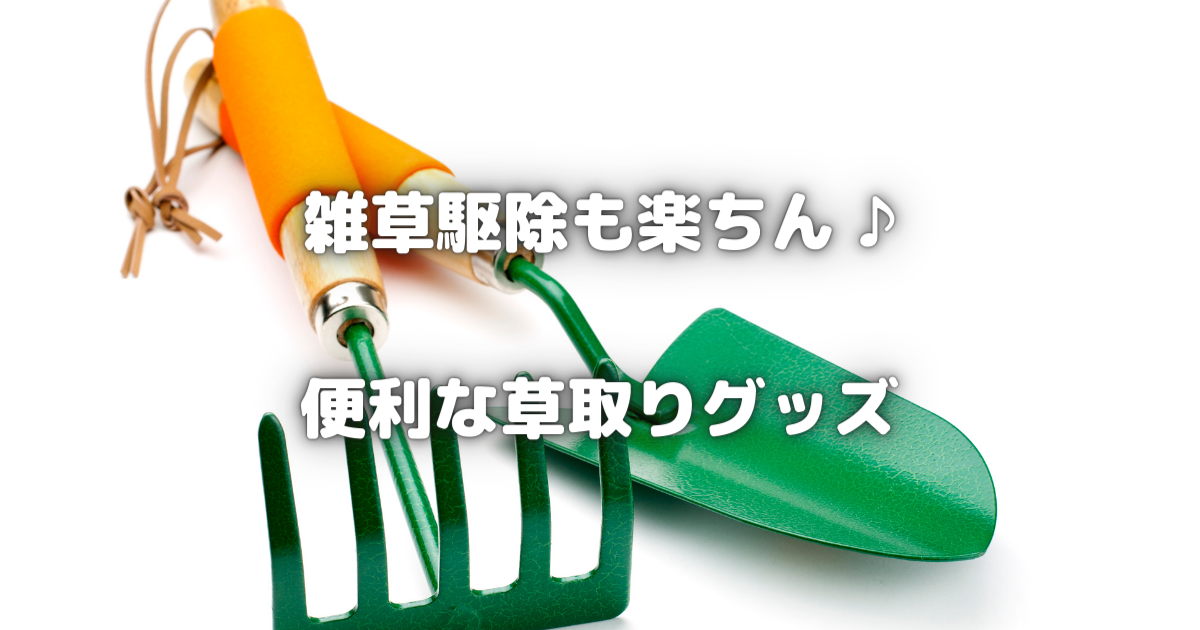 【雑草対策の決定版！】最新の除草剤＆草取りグッズでお庭を美しく！