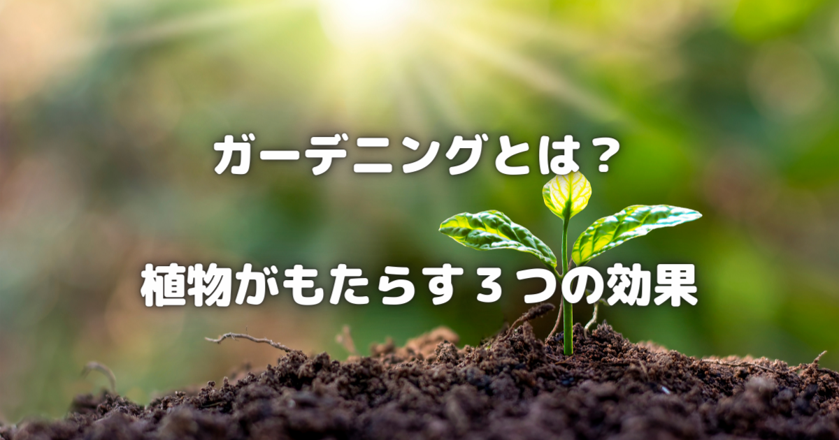 【ガーデニングの魅力とは？】植物がもたらす3つの効果を徹底解説！