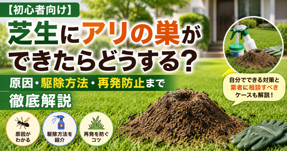 【初心者向け】芝生にアリの巣ができたらどうする？原因・駆除方法・再発防止まで徹底解説