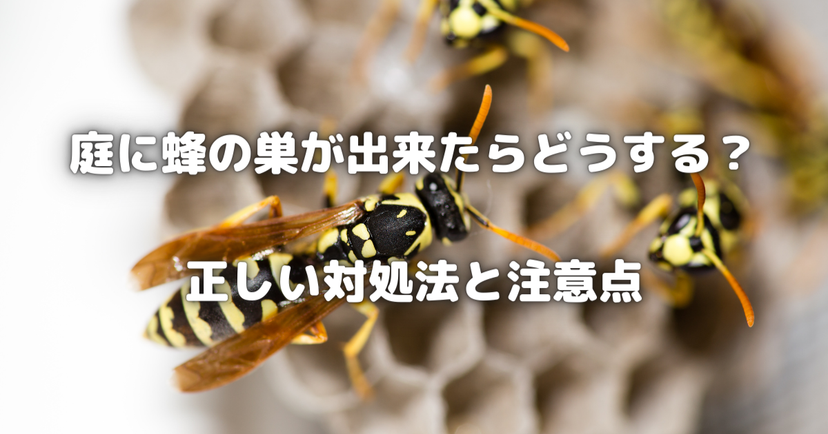 庭に蜂の巣ができたらどうする？正しい対処法と注意点