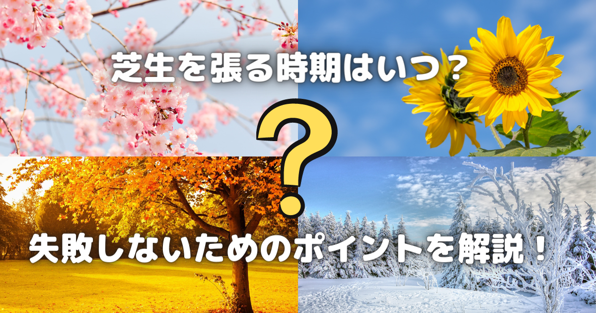 【芝生を張る時期はいつ？】失敗しないための完全ガイド！