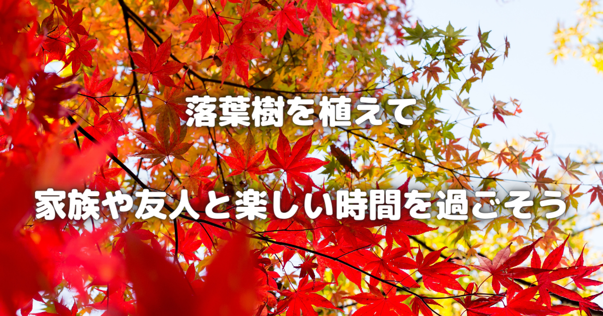 【落葉樹の魅力】四季を通じて家族と楽しむ自然の恵み