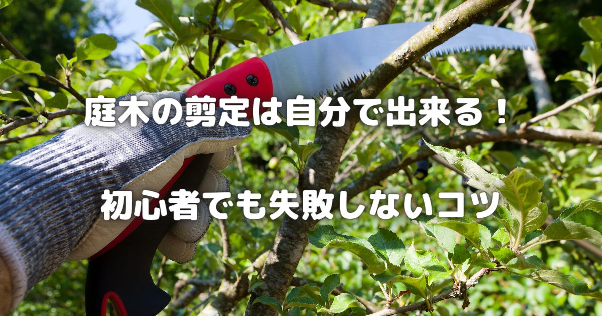 【庭木の剪定完全ガイド】時期・道具・切り方のコツを初心者向けに解説 | ビギナーガーデニング