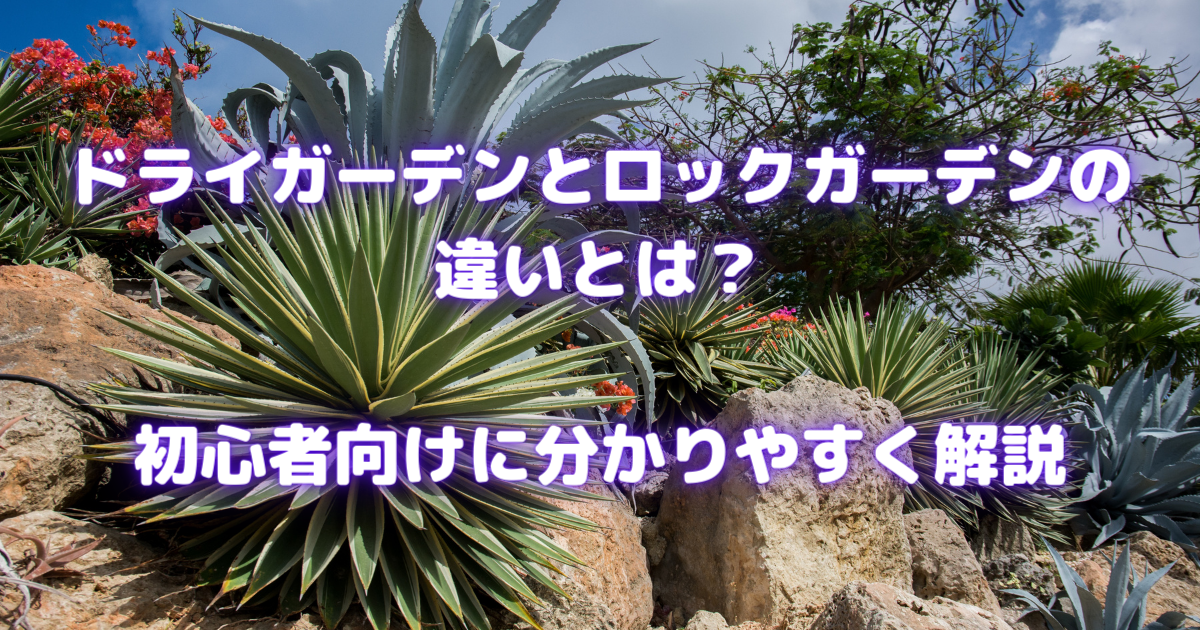 【ドライガーデンとロックガーデンの違いは？】初心者向けにわかりやすく解説