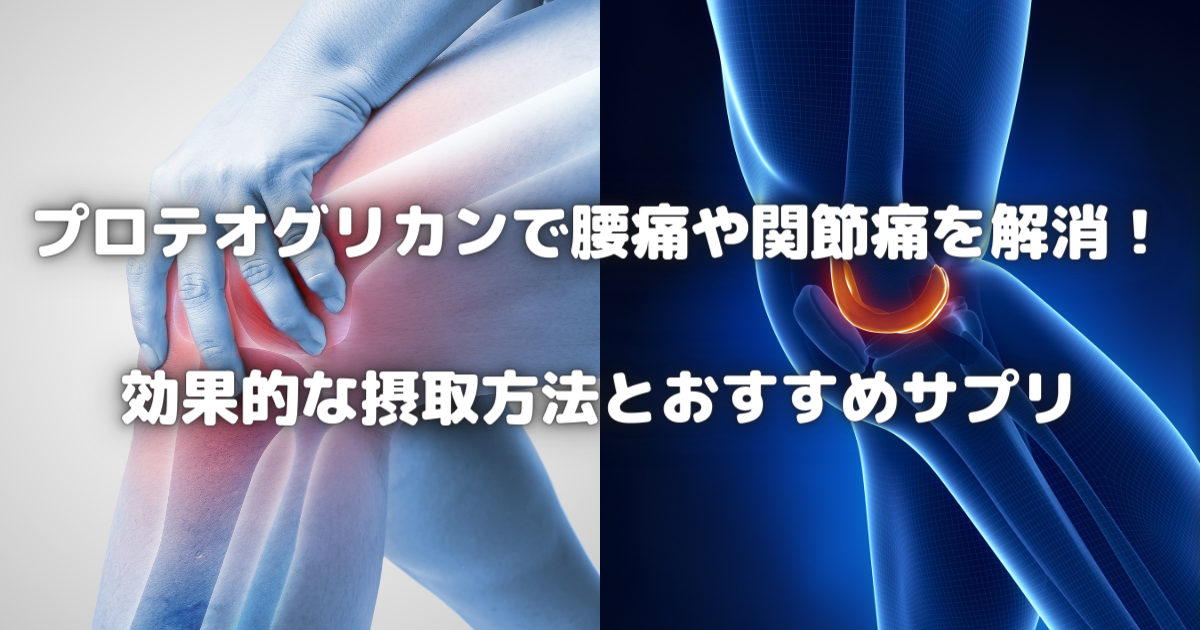 プロテオグリカンで腰痛や関節痛を解消！効果的な摂取方法とおすすめサプリ