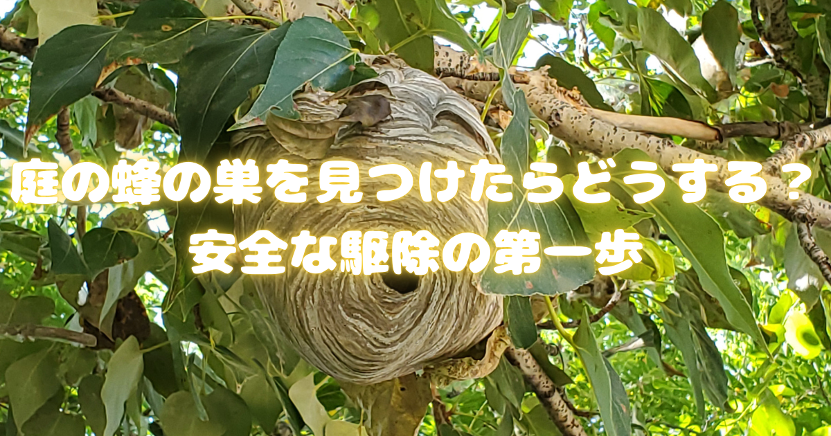 庭の蜂の巣を見つけたらどうする？安全な駆除の第一歩