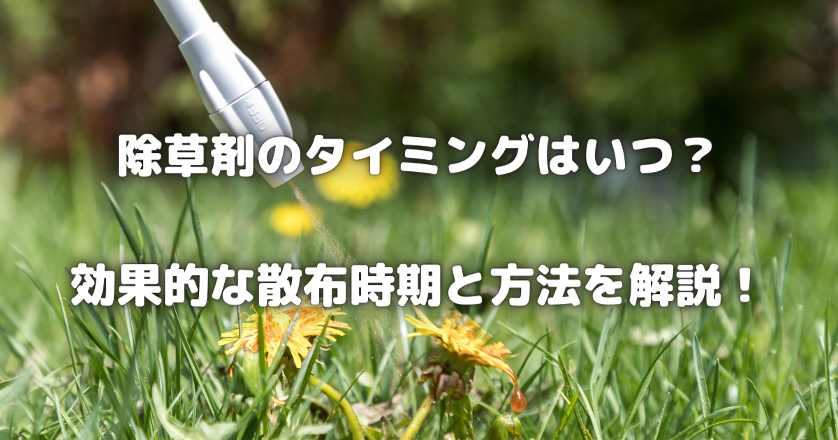 除草剤の最適な使用タイミングと効果的な散布方法