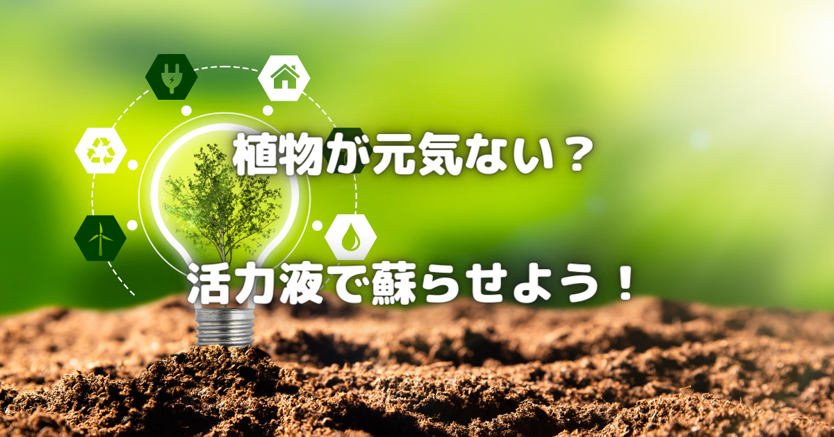 【植物が元気ない？】活力液で蘇らせよう！