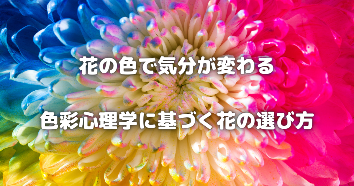 花の色で気分を変える！色彩心理学に基づく花の選び方