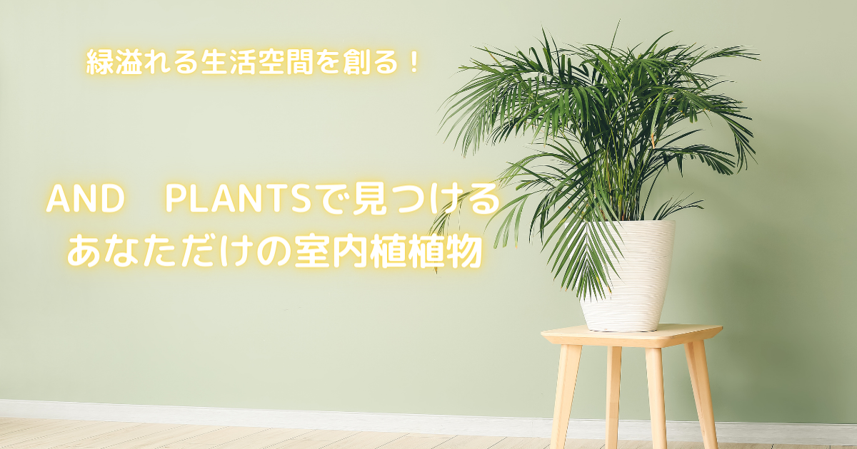 【緑溢れる生活空間を創る】AND PLANTSで見つけるあなただけの室内植物