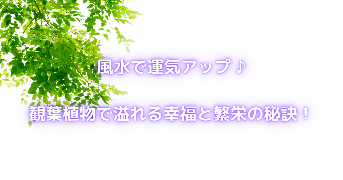 【風水で運気アップ！】観葉植物で溢れる幸福と繁栄の秘訣