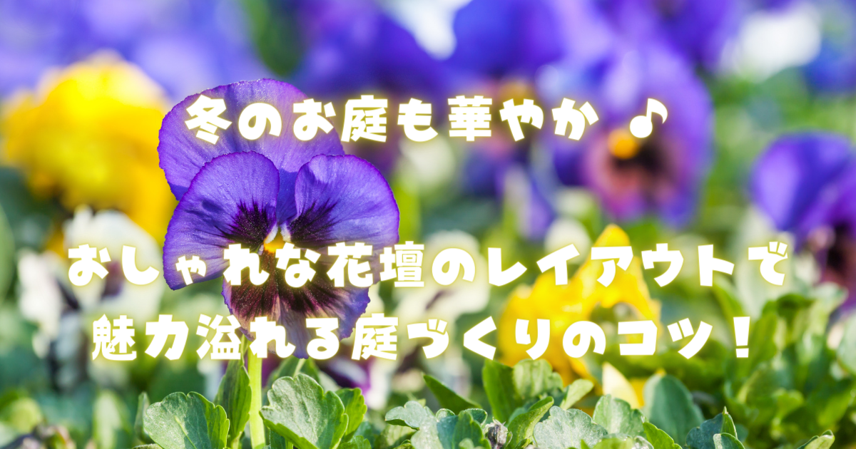 【冬も華やかに！】おしゃれな花壇レイアウトで魅力溢れる庭作りのコツ