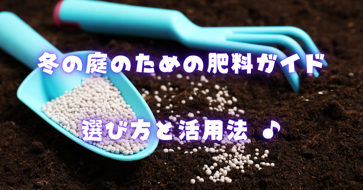 【冬の庭のための肥料ガイド】選び方と活用法 ♪