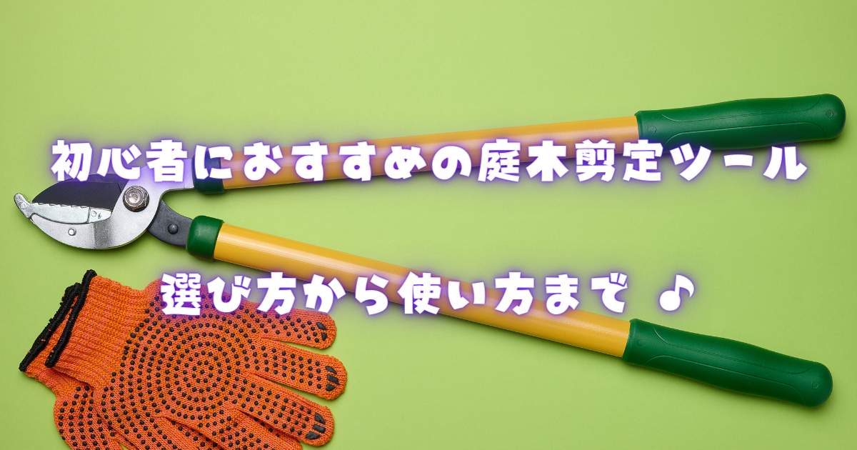 【初心者におすすめの庭木剪定ツール】選び方から使い方まで！