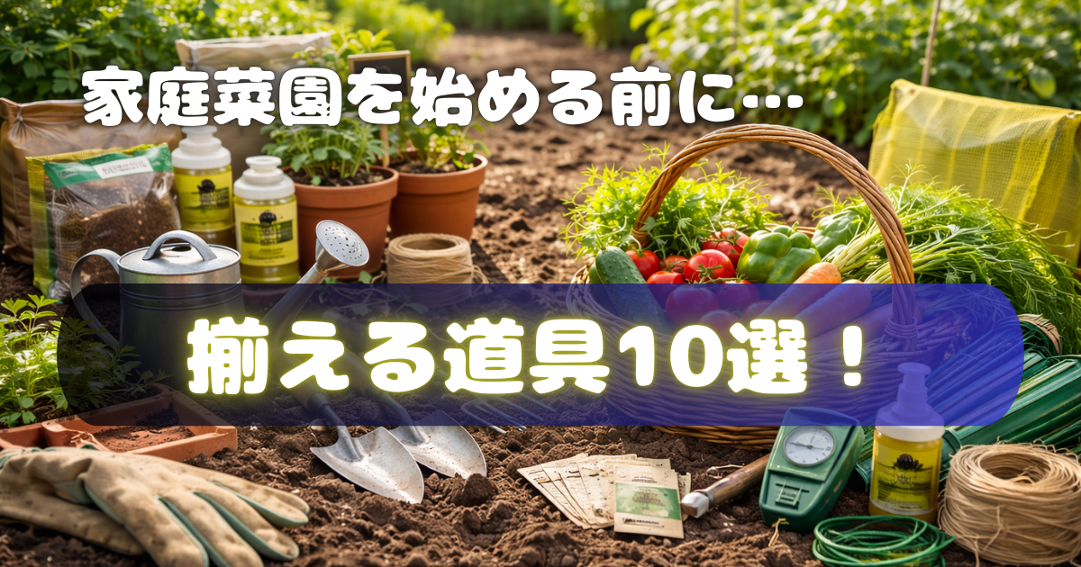 家庭菜園を始める前に揃える道具10選