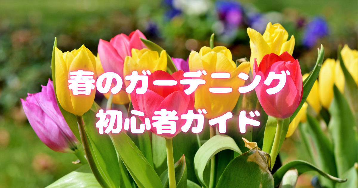【春ガーデニング初心者ガイド】失敗しない始め方とおすすめ植物完全解説