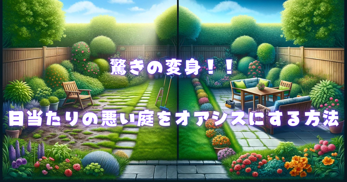 【驚きの変身！】日当たりが悪い庭を美しいオアシスにする方法