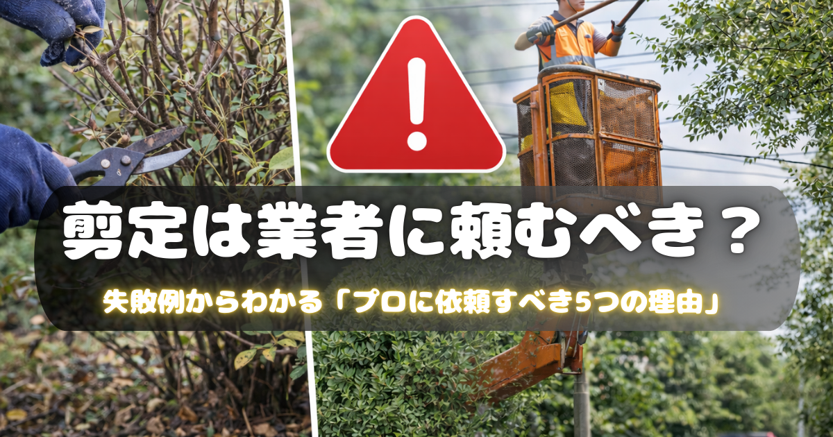 【剪定は業者に頼むべき？】失敗例から分かる「プロに依頼すべき5つの理由」