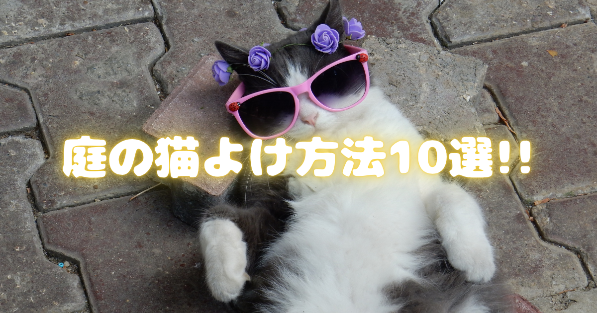 庭の猫よけ方法10選
