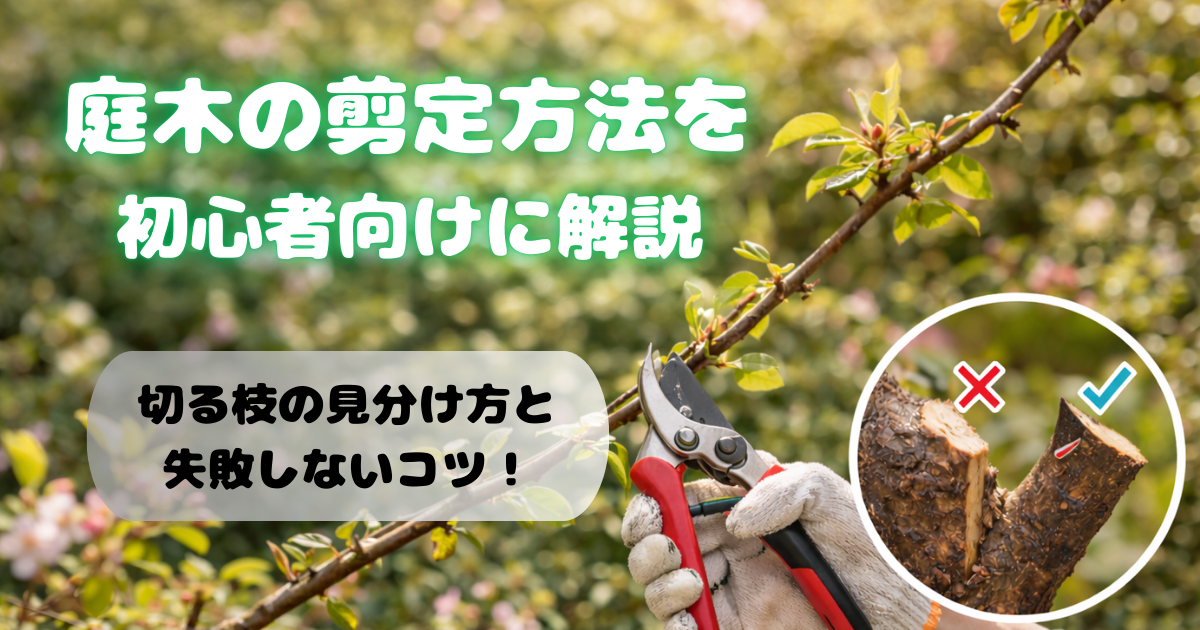 【庭木の剪定方法を初心者向けに解説】切る枝の見分け方と失敗しないコツ