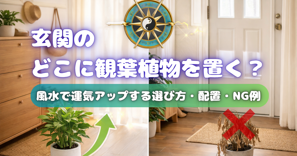 【玄関のどこに観葉植物を置く？】風水で運気アップする選び方・配置・NG例