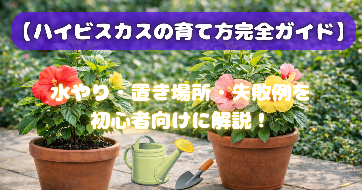 【ハイビスカスの育て方完全ガイド】水やり・置き場所・失敗例を初心者向けに解説