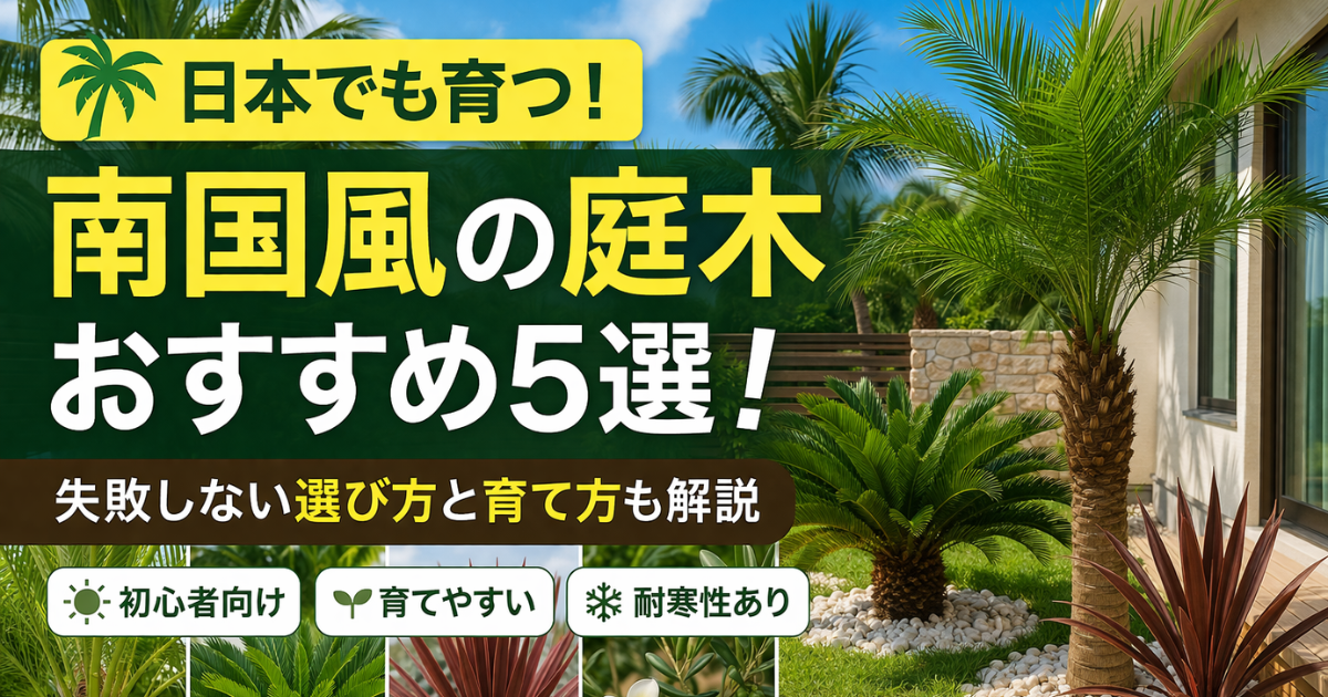 【日本でも育つ】南国風の庭木おすすめ5選！失敗しない選び方と育て方も解説