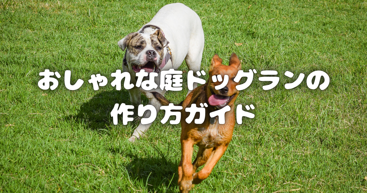 おしゃれな庭ドッグランの作り方ガイド