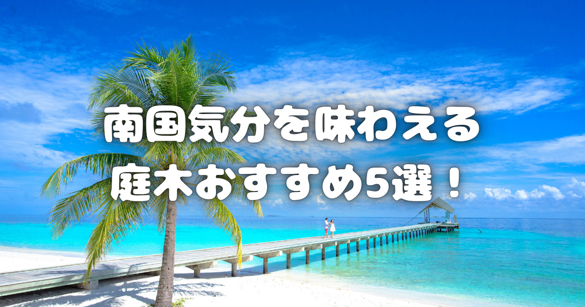 南国気分を味わえる庭木おすすめ5選