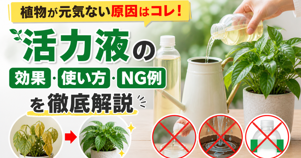 【植物が元気ない原因はコレ！】活力液の効果・使い方・NG例を徹底解説