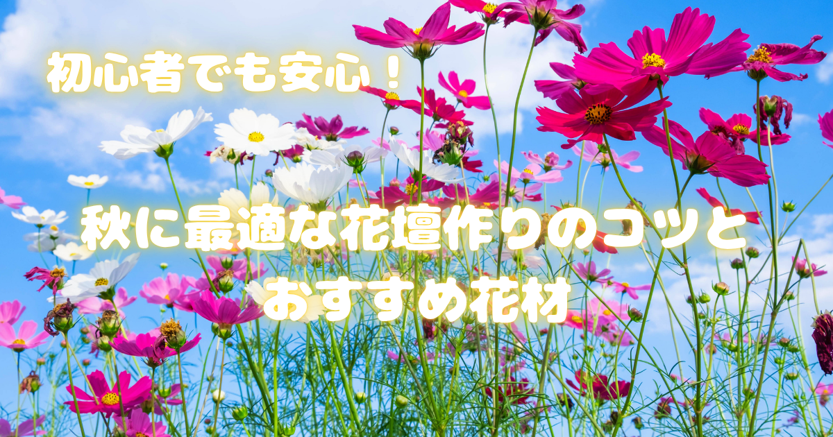 【初心者でも安心！】秋に最適な花壇作りのコツとおすすめ花材