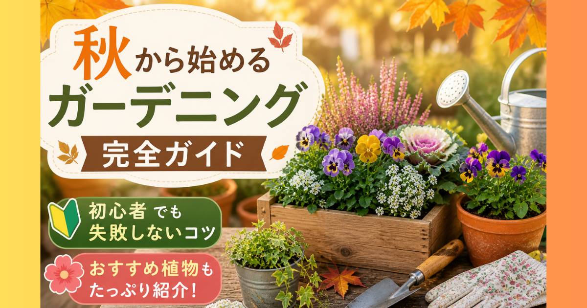 【秋から始めるガーデニング完全ガイド】初心者でも失敗しないコツとおすすめ植物
