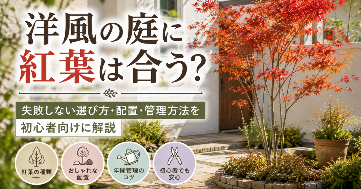 【洋風の庭に紅葉は合う？】失敗しない選び方・配置・管理方法を初心者向けに解説